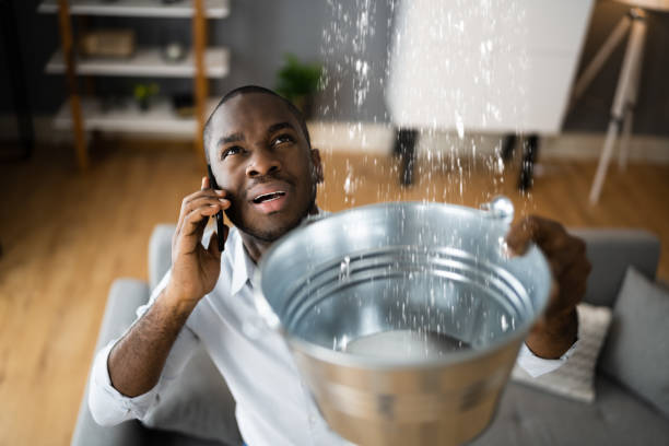 Best Professional water damage repair  in Coweta, OK