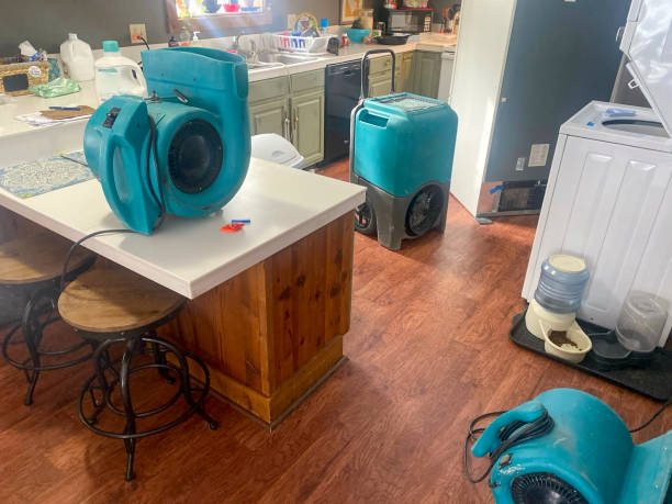 Best Carpet water damage restoration  in Coweta, OK