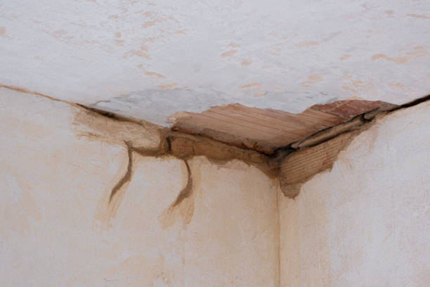 Best 24/7 water damage repair  in Coweta, OK