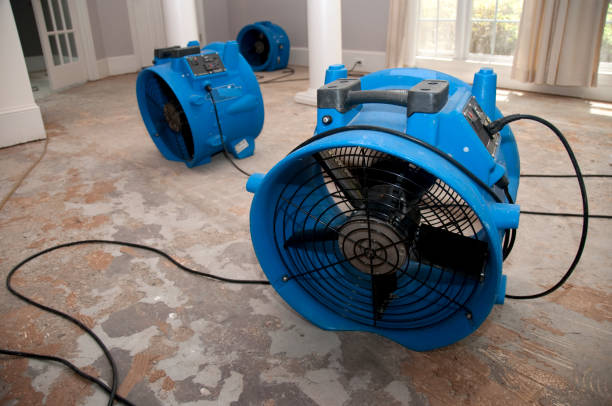 Best Flood damage cleanup  in Coweta, OK