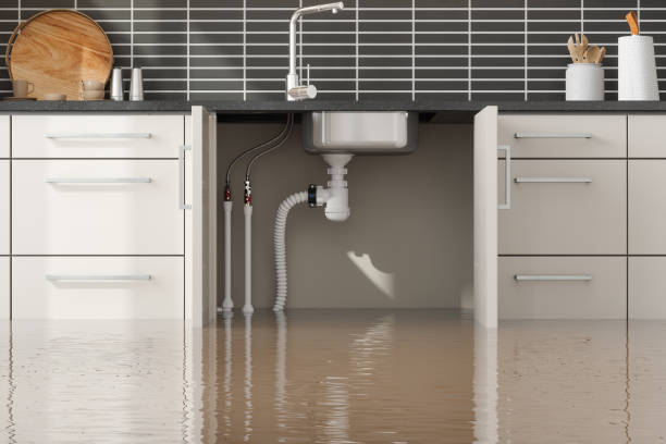 Best Mold removal after water damage  in Coweta, OK